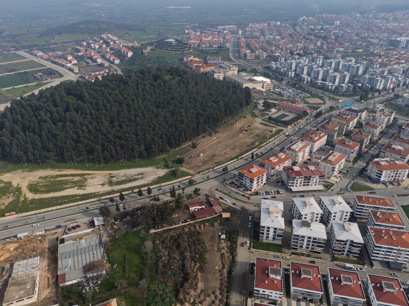 Maltepe Arena