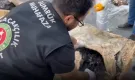 Gümrük Muhafaza'dan uyuşturucu kaçakçılarına rekor darbe... 3 yılda 109 ton uyuşturucu!