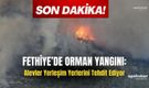 Fethiye’de Orman Yangını: Alevler Yerleşim Yerlerini Tehdit Ediyor