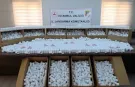 İstanbul'da 257 bin 850 uyuşturucu hap ele geçirildi