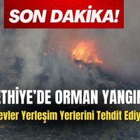 YAŞAM