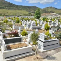 YAŞAM