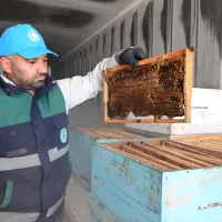 YAŞAM