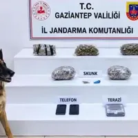 GÜNDEM