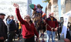 "Efes Selçuk'ta deve güreşi heyecanı"