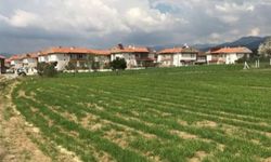 'İlk Evim Arsa'nın kuraları 5 il ile başlıyor... İlk etapta 13 ilin kurası çekilecek