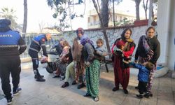 Muğla Milas'ta dilenci operasyonu