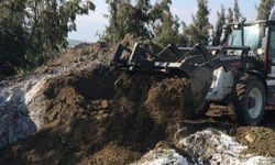 Depremde telef olan hayvanlar hastalık riskine karşı gömüldü