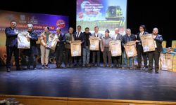 Silivri'de milli ayçiçek atağı başladı
