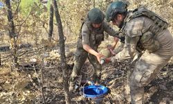 Şırnak'ta 5 terörist etkisiz hale getirildi