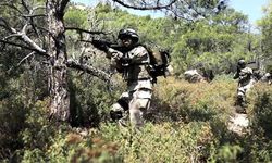 Bakan Yerlikaya: 2 terörist teslim oldu