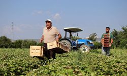 Mazot ve gübre desteği ne zaman yatacak?