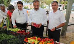 Bursa Yenişehir'de 'Altın Biber Festivali' düzenlendi