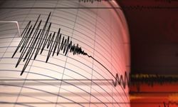 İzmir deprem ile şiddetli sallandı