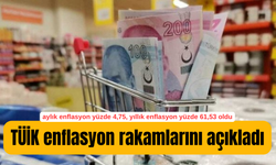 TÜİK enflasyon rakamlarını açıkladı