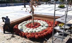 100. Yıl Uğur Mumcu Parkı kasımpatlarıyla renklendi