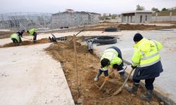 Çayırova Millet Bahçesi'ne bin 500 ağaç