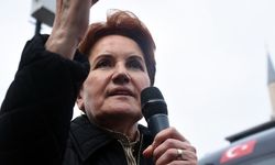 Akşener: Çalışın Kardeşim