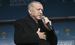 Cumhurbaşkanı Erdoğan: Roman kardeşlerim sandıkta en güzel cevabı verecek