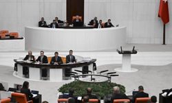Fahiş fiyat ve stokçuluk cezaları görüşülüyor... İlk 7 maddeye TBMM'den onay