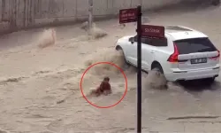 Ankara'yı sağanak vurdu! İki kardeş sele böyle yakalandı