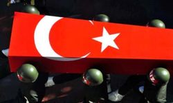 Şırnak'ta şehit askerler için tören düzenlendi