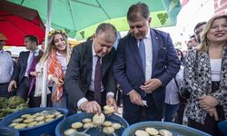 Urla'da enginar coşkusu