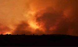 Mardin ve Diyarbakır'daki yangınların  çıkış nedeni belli oldu