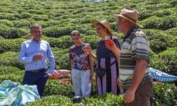 CHP'den Rize'de çay mitingi