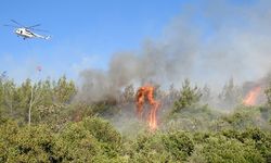 İzmir'in üç ilçesinde orman yangını