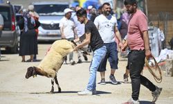 Ankara'da kurban pazar yerlerinde ilk gün yoğunluğu