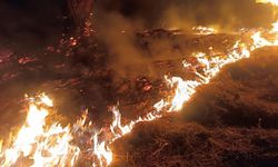 Denizli'deki orman yangını kontrol altına alındı