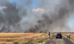 Edirne'de çıkan yangında 38 ton buğday kül oldu