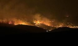 Diyarbakır ve Mardin arasında yangın! 5 kişi hayatını kaybetti, 44 kişi yaralandı