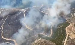 Çeşme Deliklikoy’da orman yangını: 3 kişi hayatını kaybetti