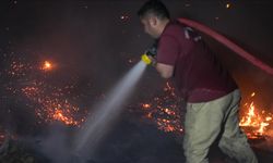 İzmir'deki yangın kontrol altına alındı
