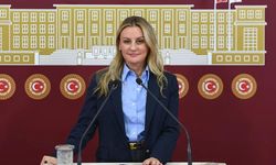 İzmir Milletvekili Ösen'den yangınlar için soru önergesi
