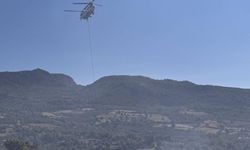 Adana'da yangın söndürme helikopteri düştü