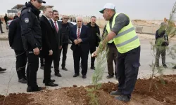 Mardin Yeşilli OSB’de binlerce ağaç toprakla buluştu