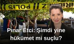 Pınar Etci: Şimdi yine hükümet mi suçlu?