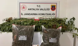 Alanya'da uyuşturucuya geçit yok!