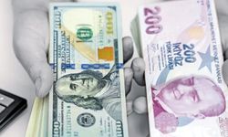 Dolar/TL'de bu sabah rekor tazeledi