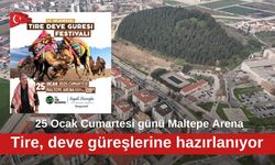 Tire, deve güreşlerine hazırlanıyor