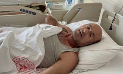 Sakarya’da ayı saldırısından ağaca tırmanarak kurtuldu