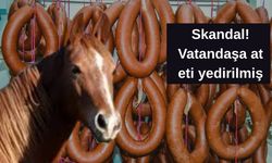 Skandal! Vatandaşa at eti yedirilmiş