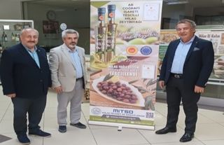 Coğrafi işaretli Milas zeytini 'Hasat Şenliği'nde taçlandı