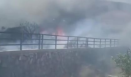 Mersin Gülnar'da yangın