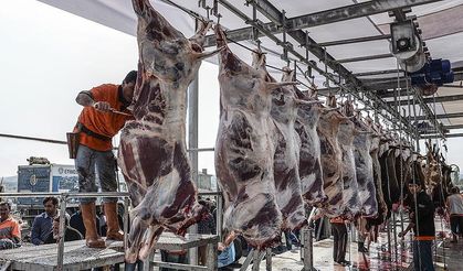 Kurban kesecekler dikkat! Uzmanlar uyardı