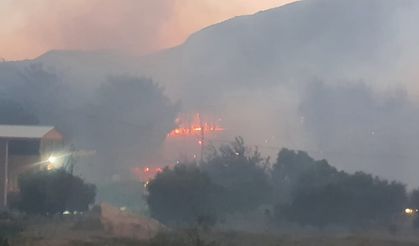 Adana'da evi yanan ailenin feryadı yürekleri dağladı