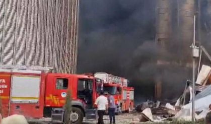 Sakarya'daki yangın 3 saat sonra kontrol altına alındı